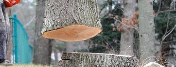 Best Firewood Processing and Delivery  in Mitchell, NE