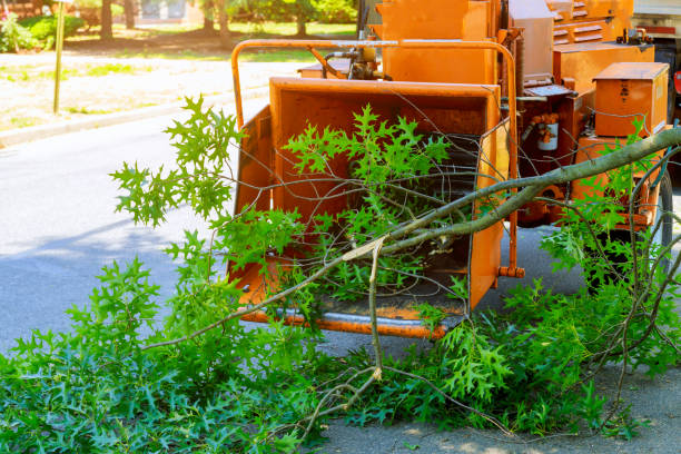 Best Organic Lawn Care Solutions  in Mitchell, NE