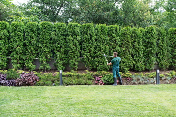 Best Lawn Pest Prevention  in Mitchell, NE