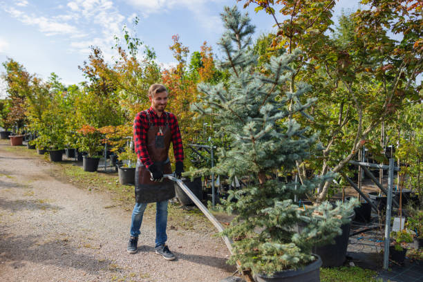 Best Tree Health Inspection  in Mitchell, NE